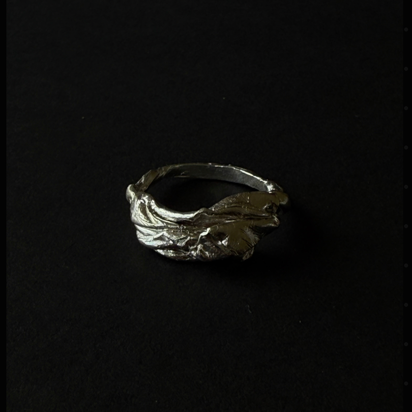 ANILLO EXPERIMENTAL I