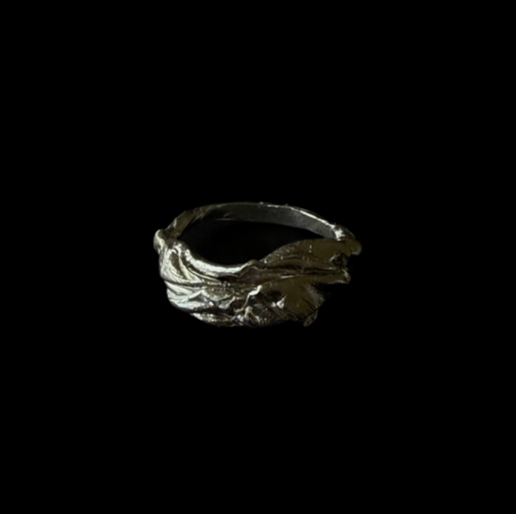 ANILLO EXPERIMENTAL I