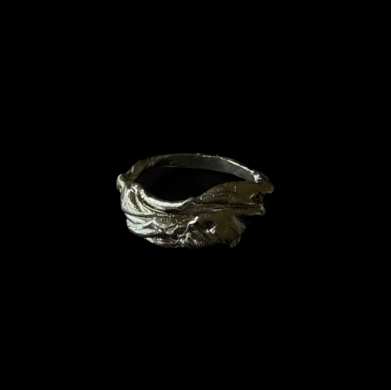 ANILLO EXPERIMENTAL I