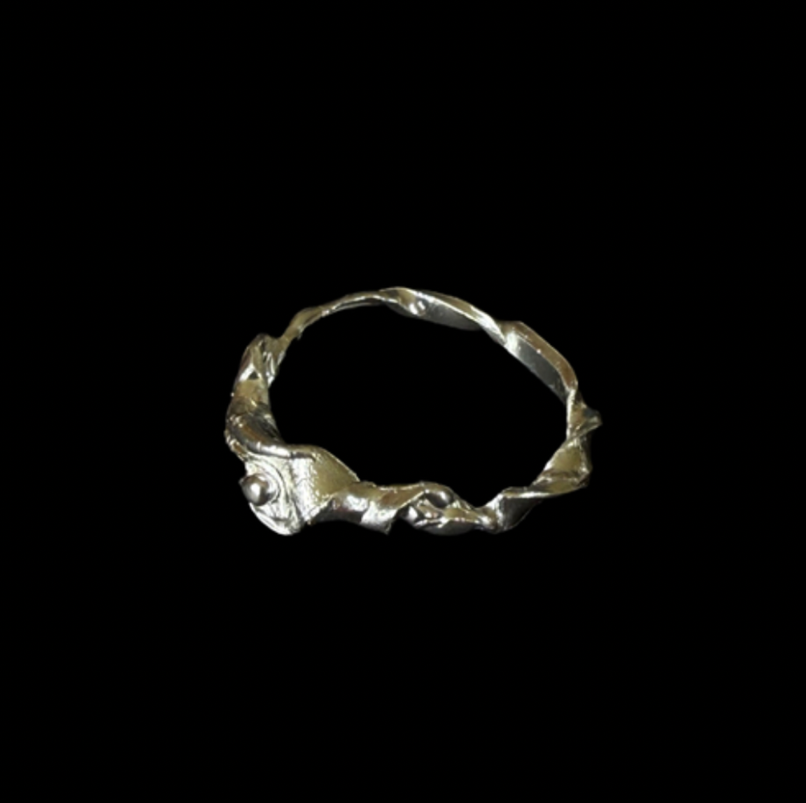 ANILLO EXPERIMENTAL V