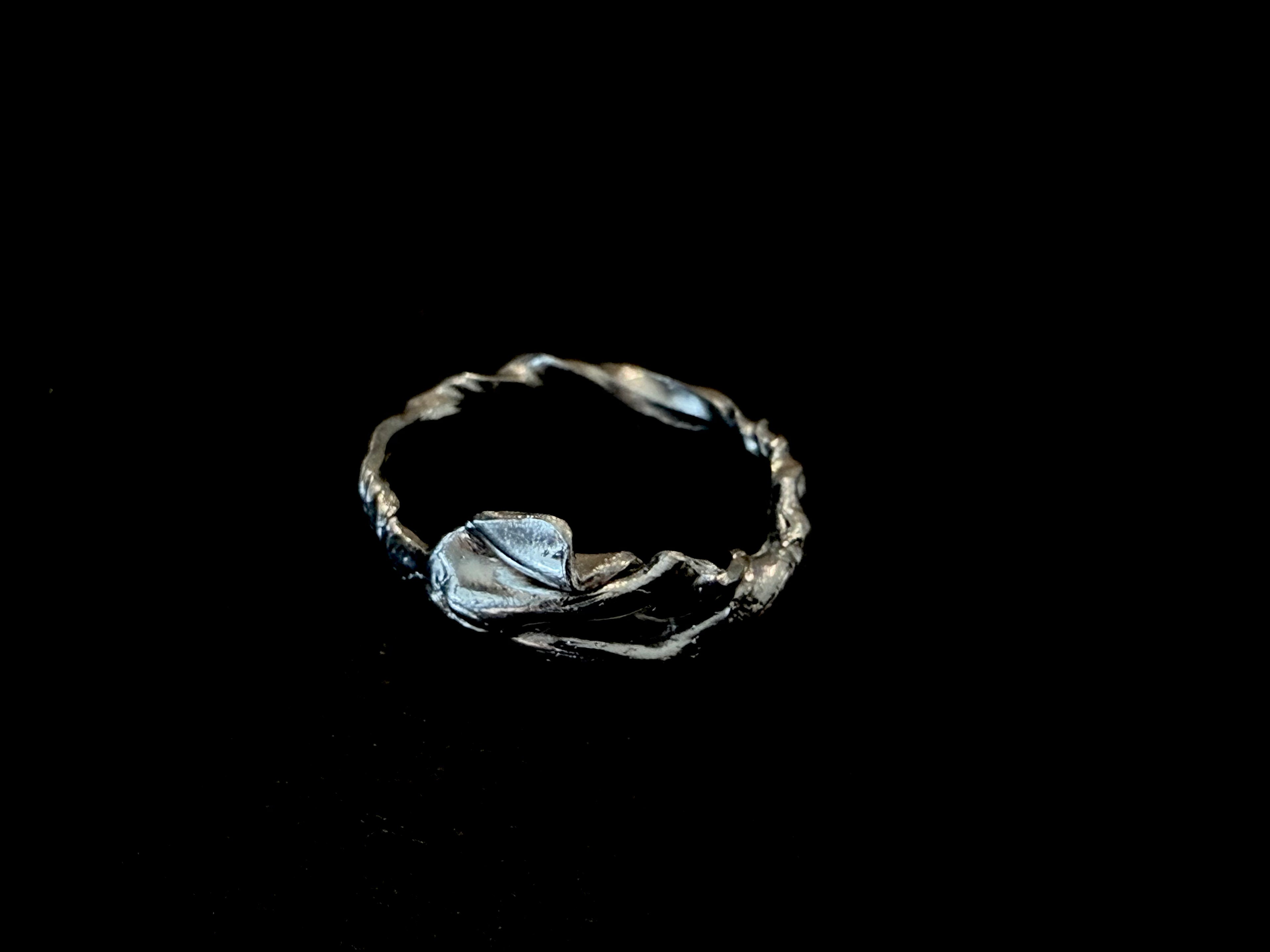 ANILLO EXPERIMENTAL II