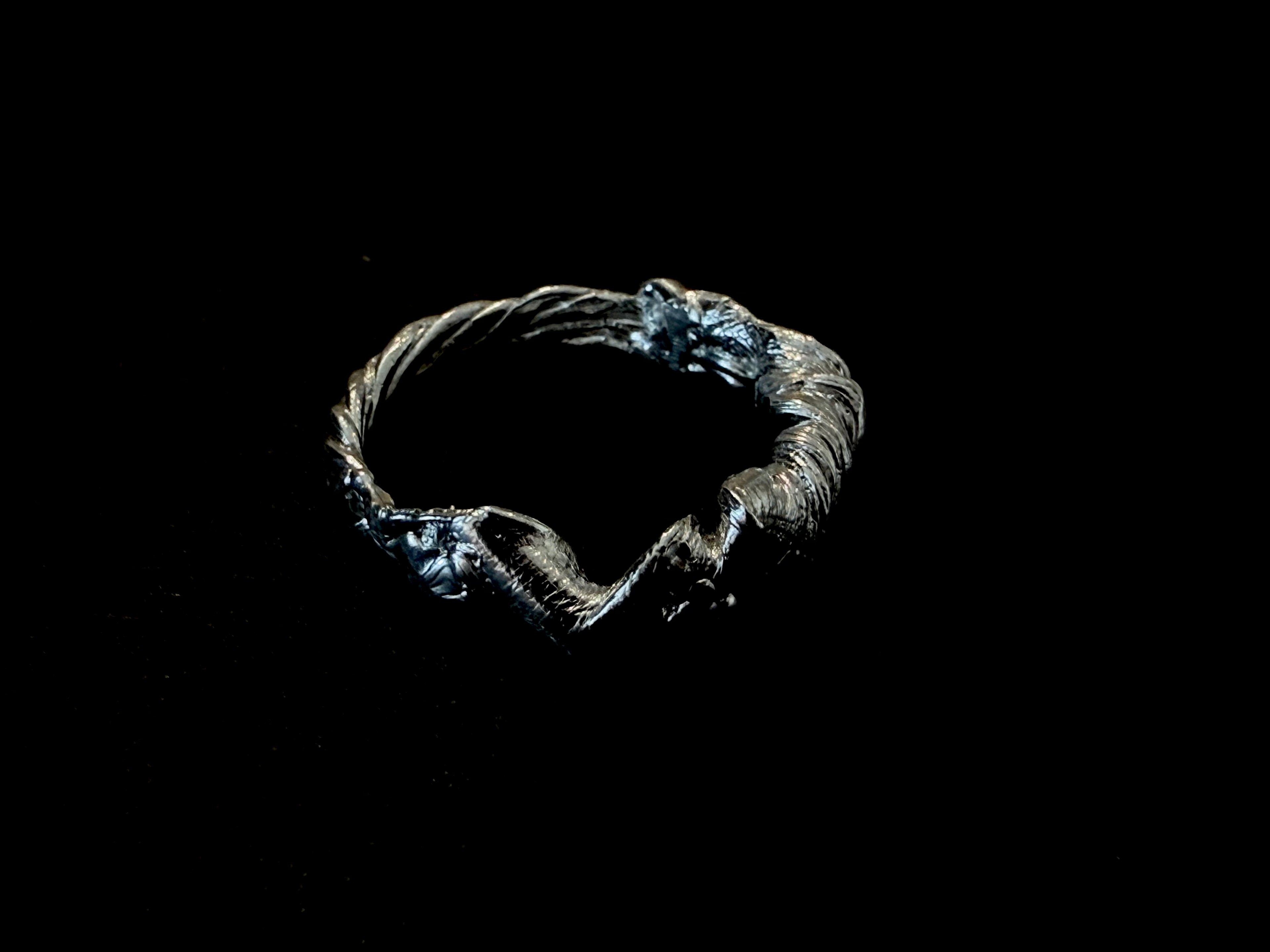 ANILLO EXPERIMENTAL IV