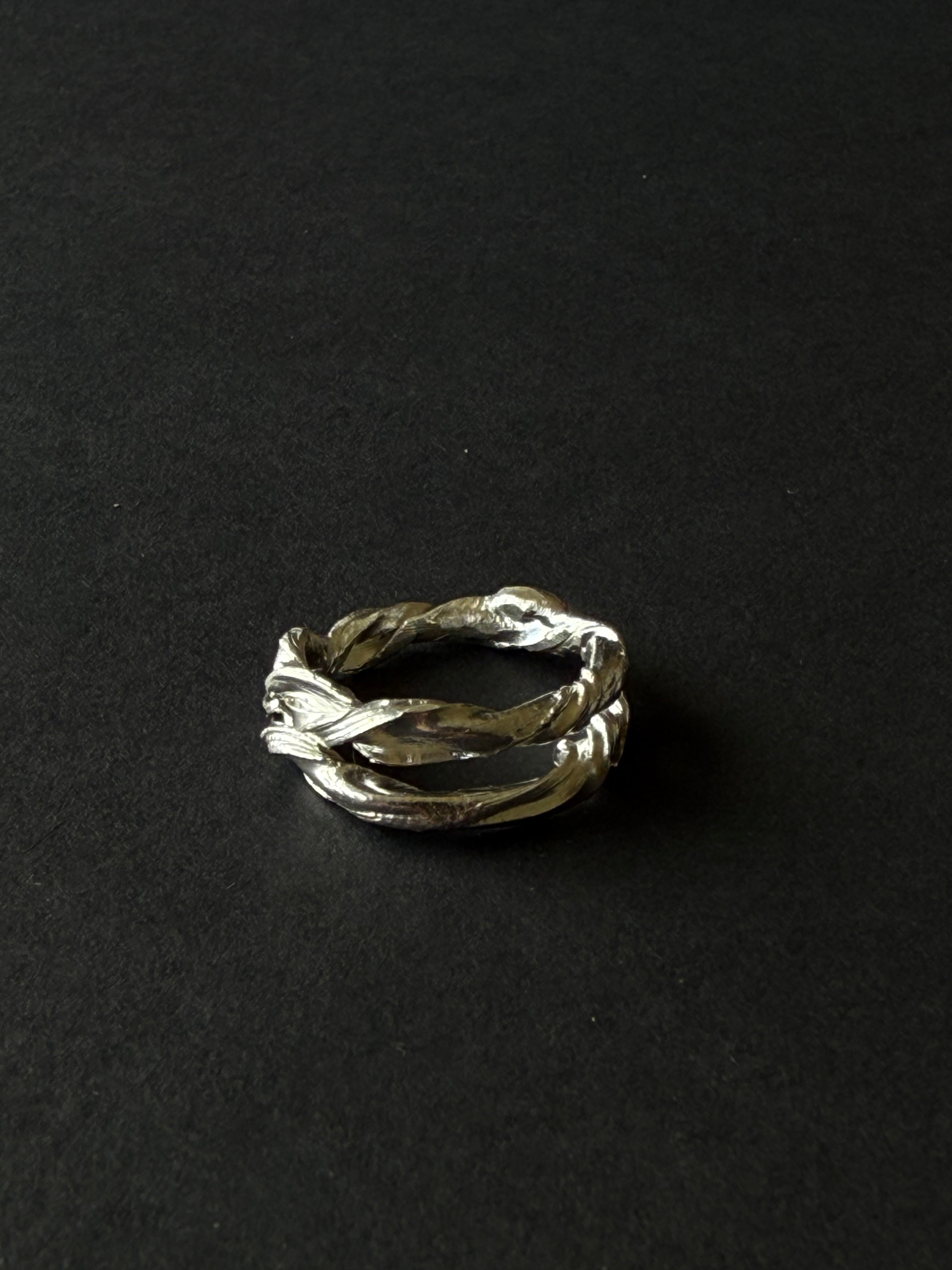 ANILLO EXPERIMENTAL VI