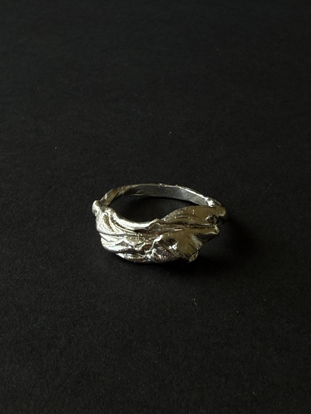ANILLO EXPERIMENTAL I