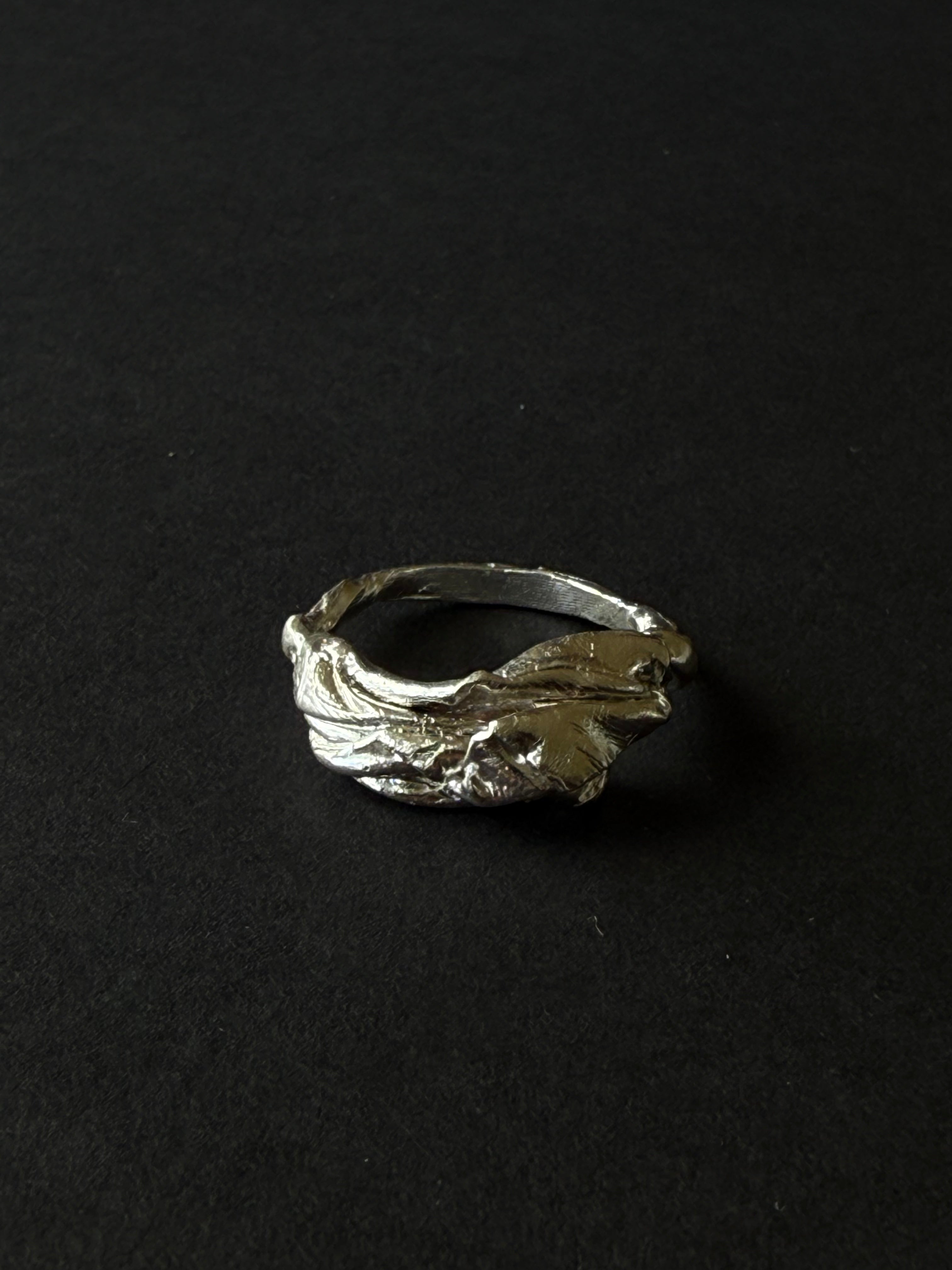 ANILLO EXPERIMENTAL I