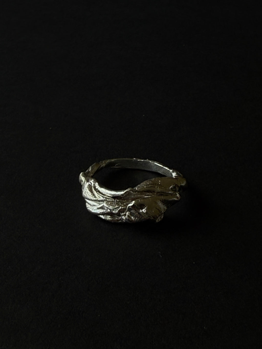 ANILLO EXPERIMENTAL I