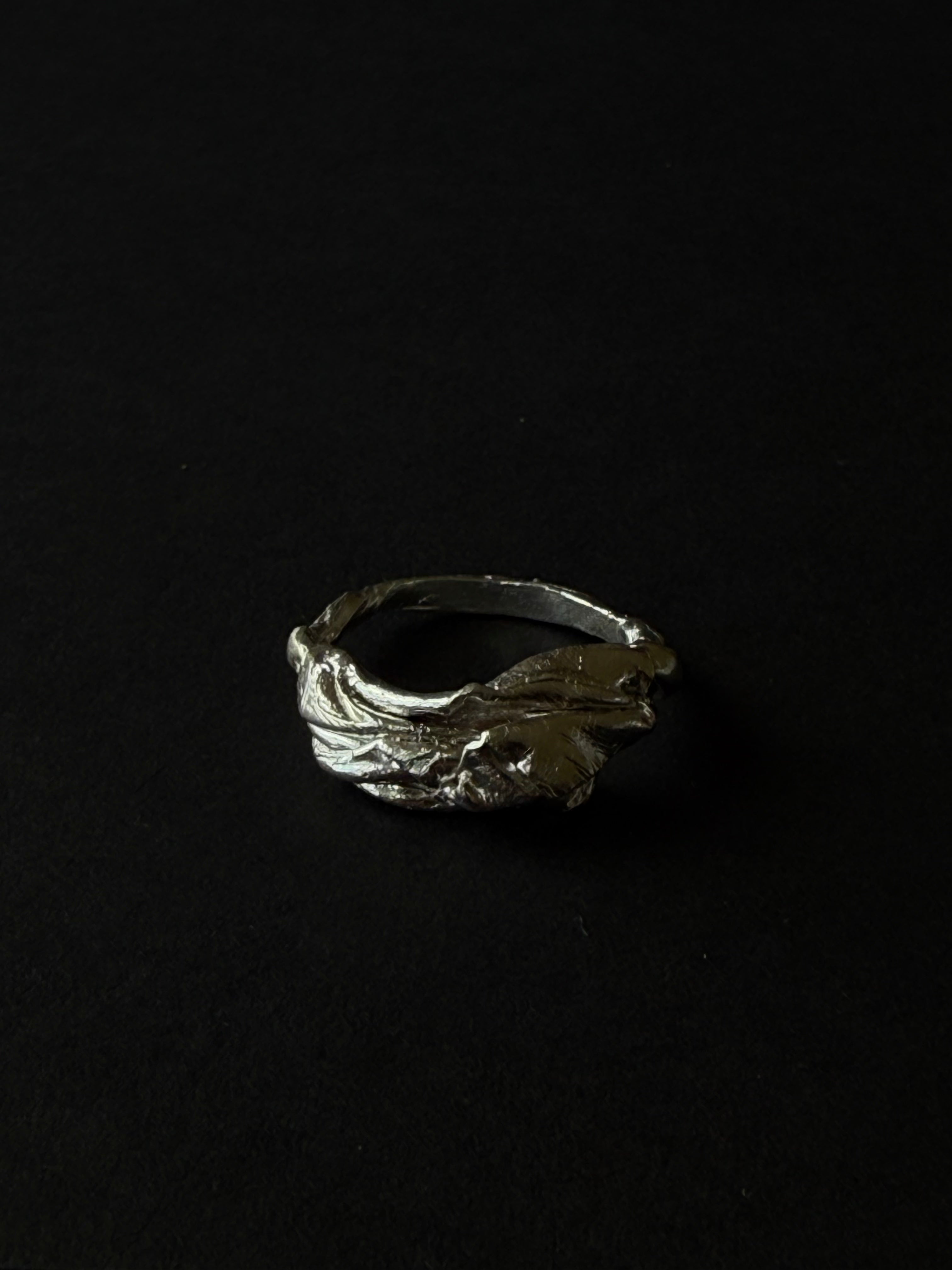 ANILLO EXPERIMENTAL I