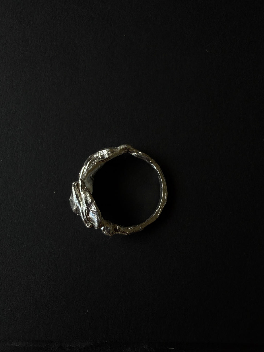 ANILLO EXPERIMENTAL I