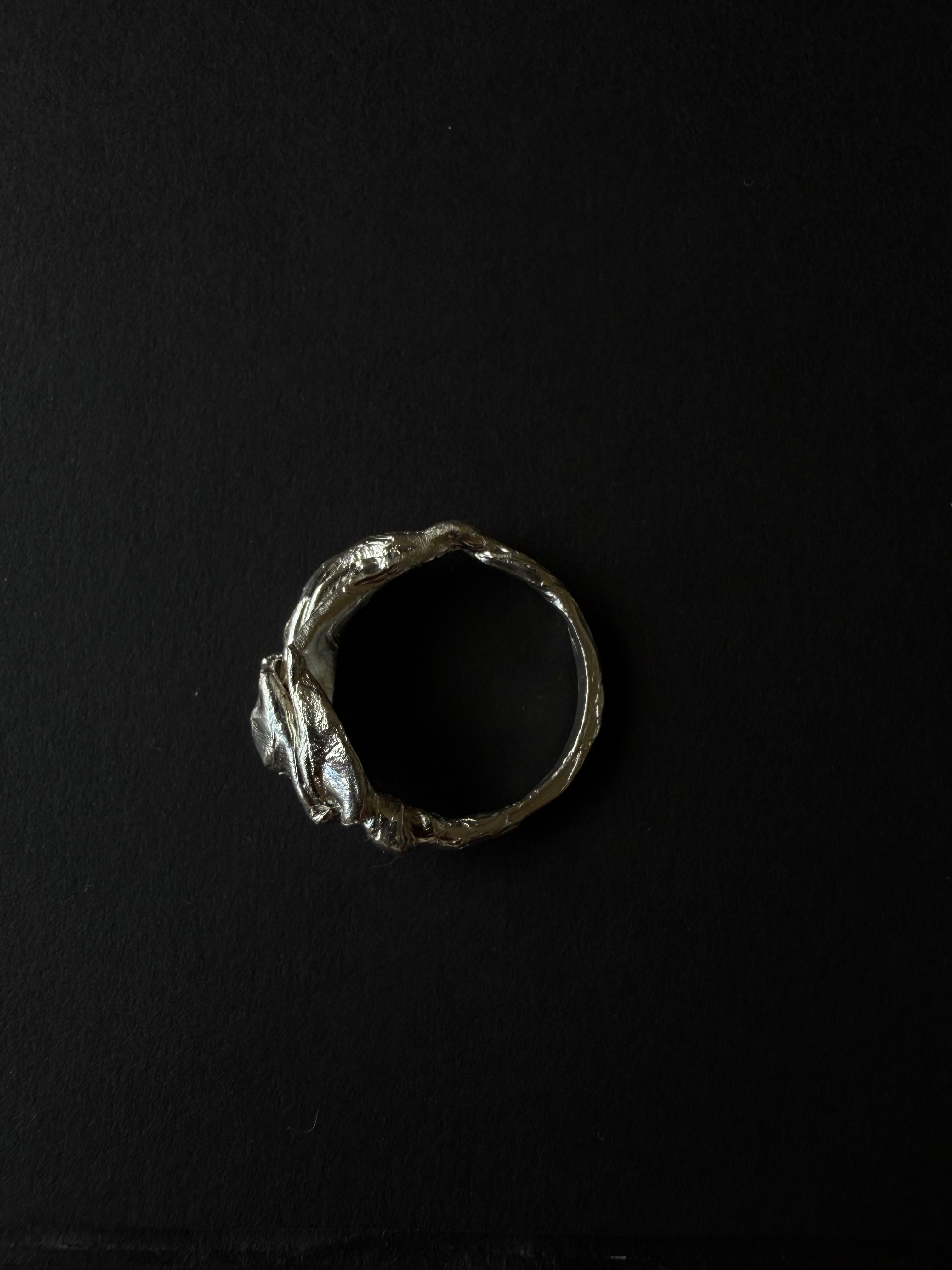 ANILLO EXPERIMENTAL I