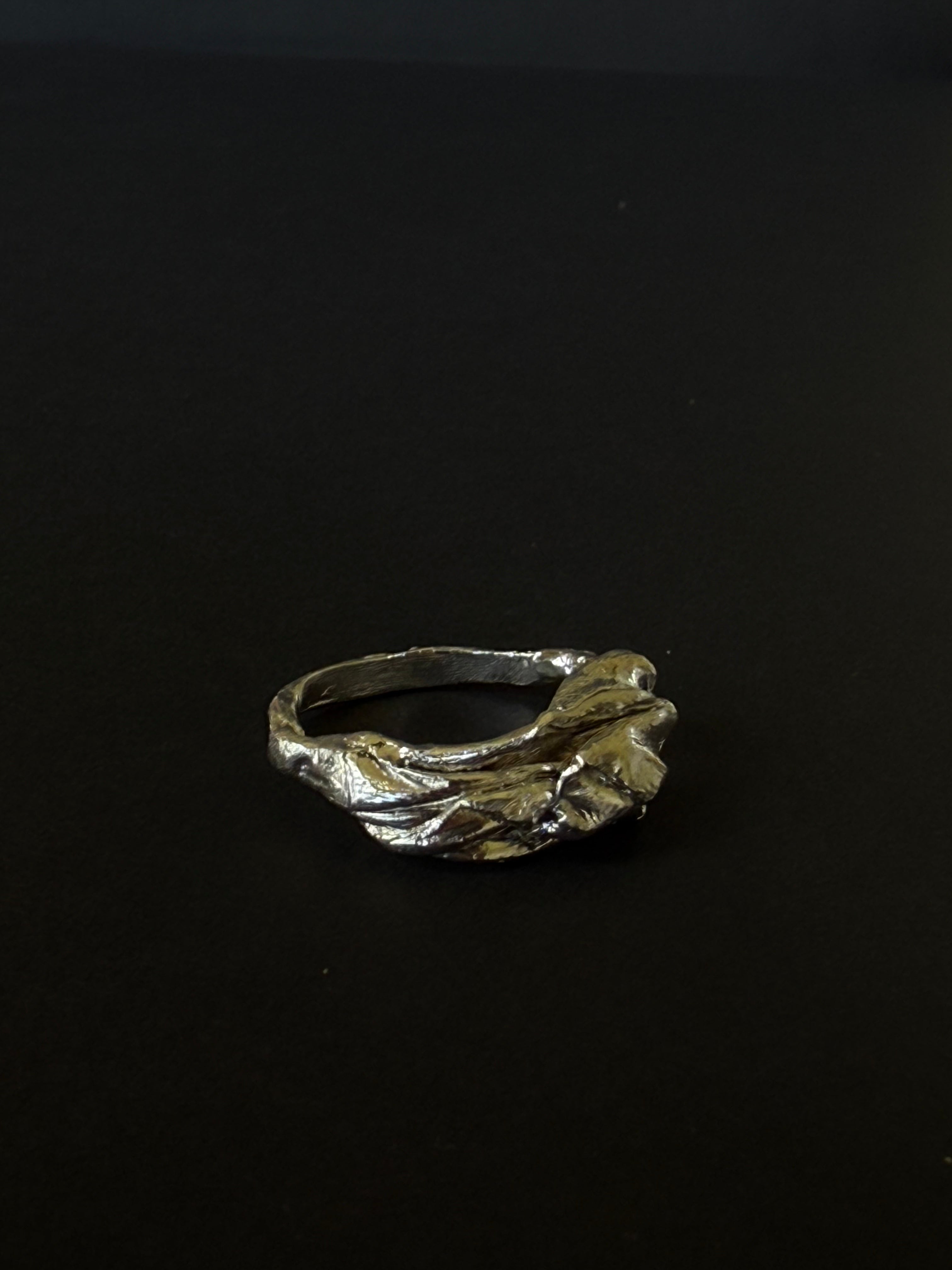 ANILLO EXPERIMENTAL I