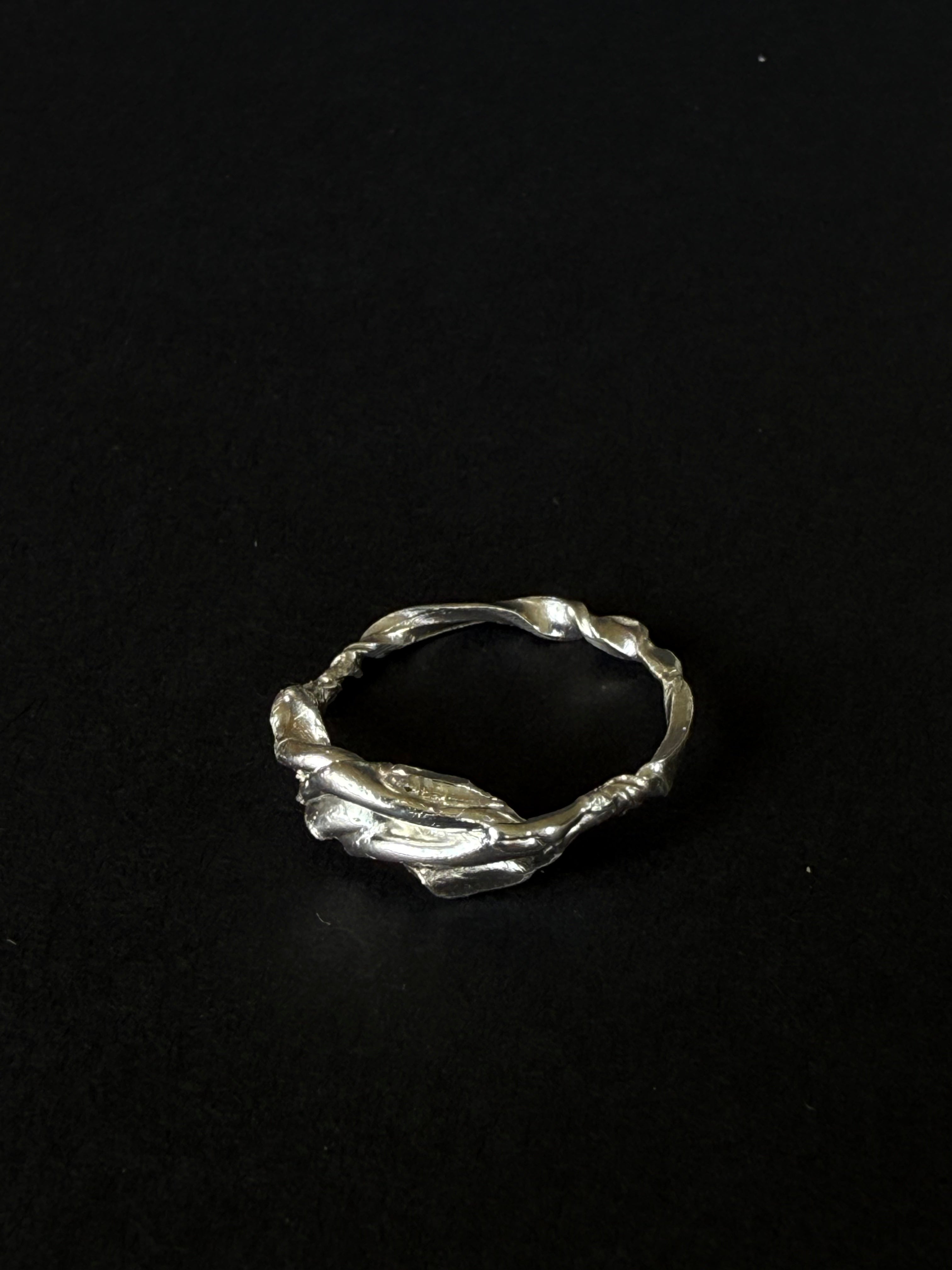 ANILLO EXPERIMENTAL II