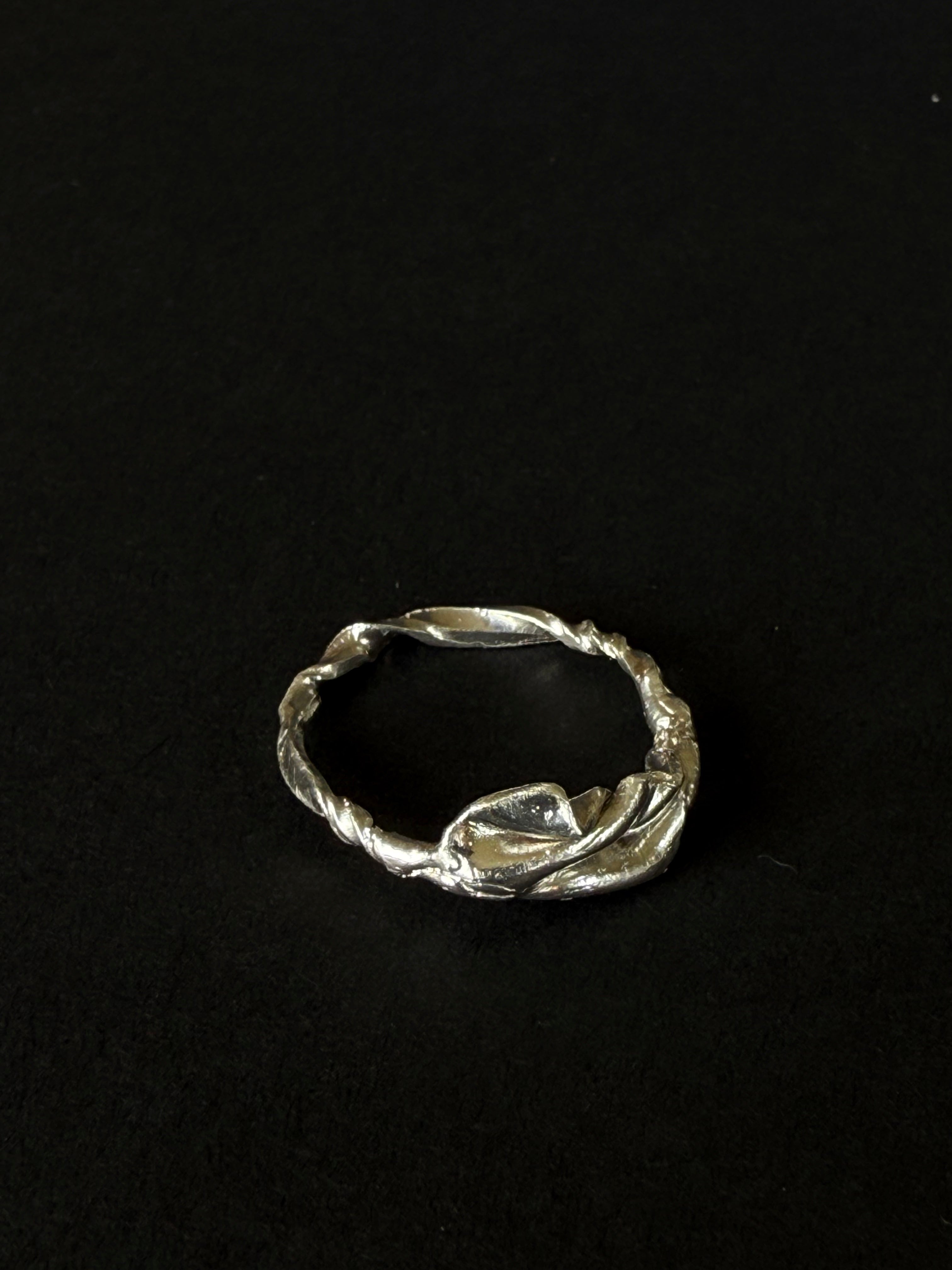ANILLO EXPERIMENTAL II