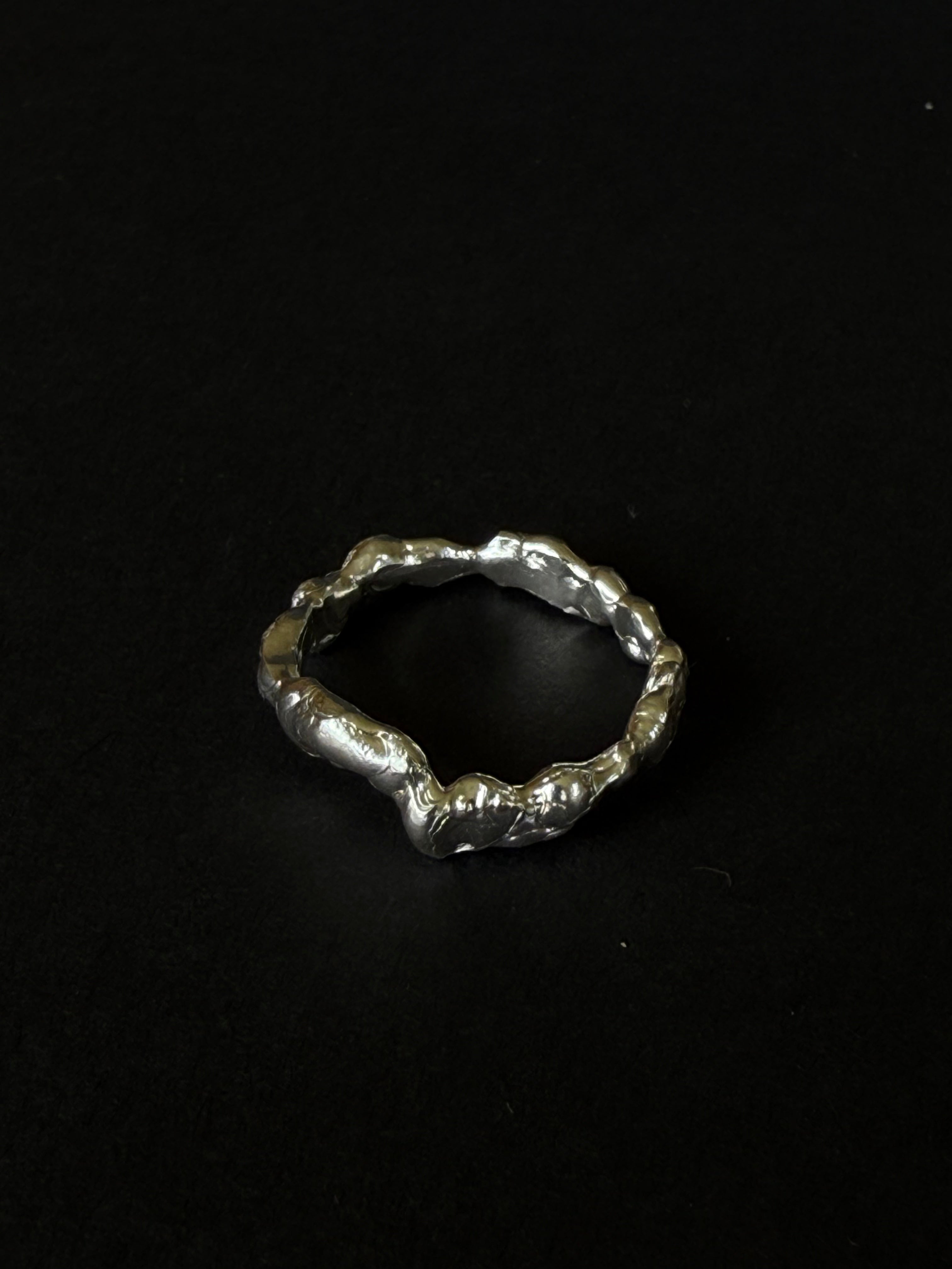 ANILLO EXPERIMENTAL III