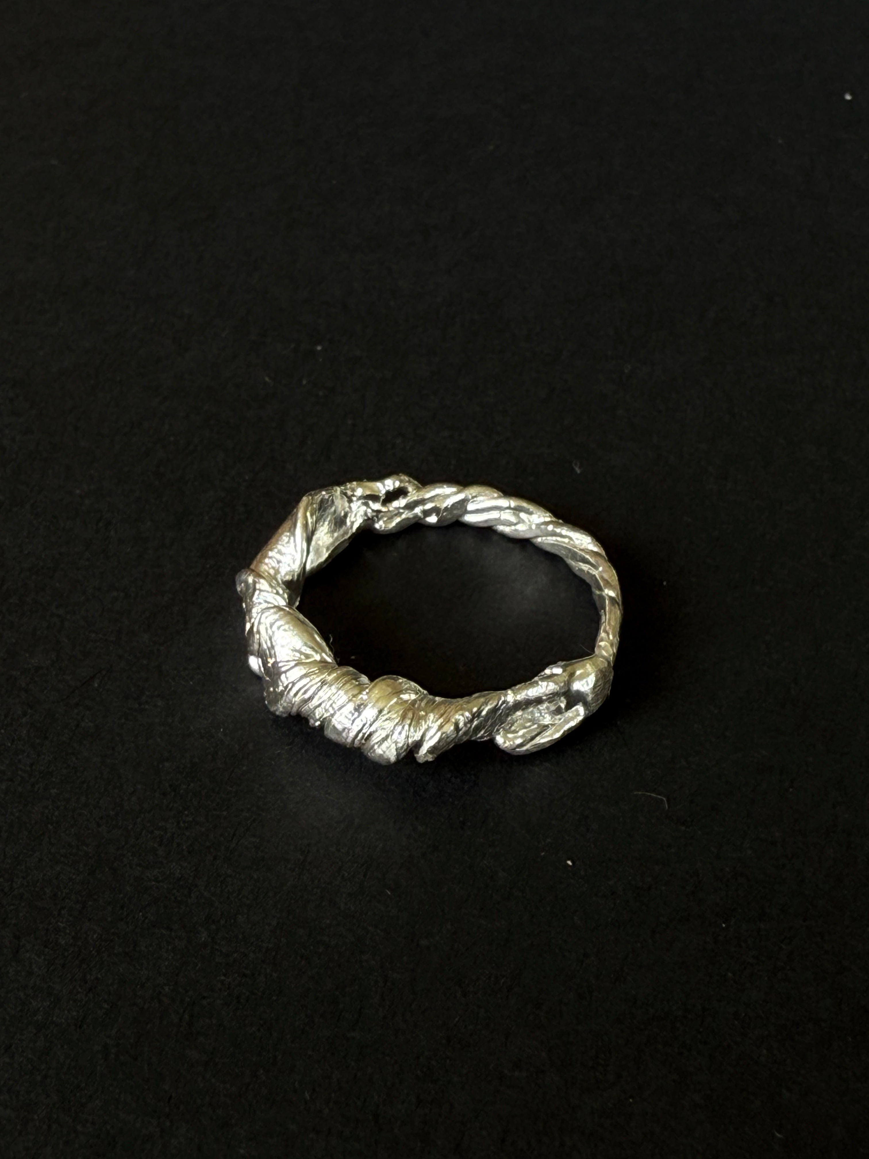 ANILLO EXPERIMENTAL IV