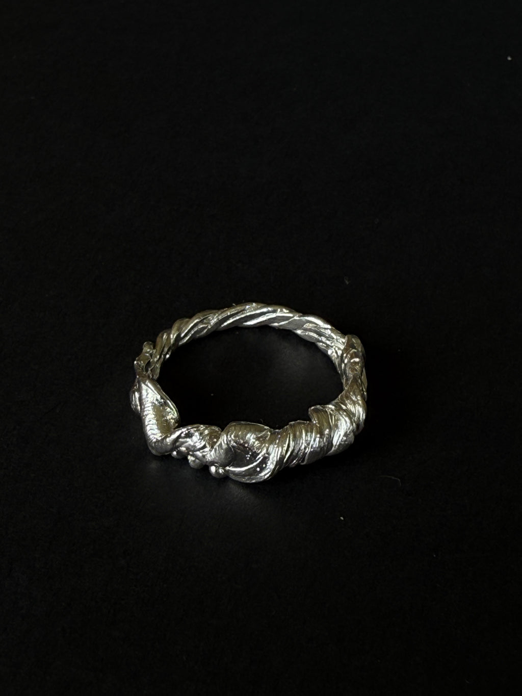 ANILLO EXPERIMENTAL IV