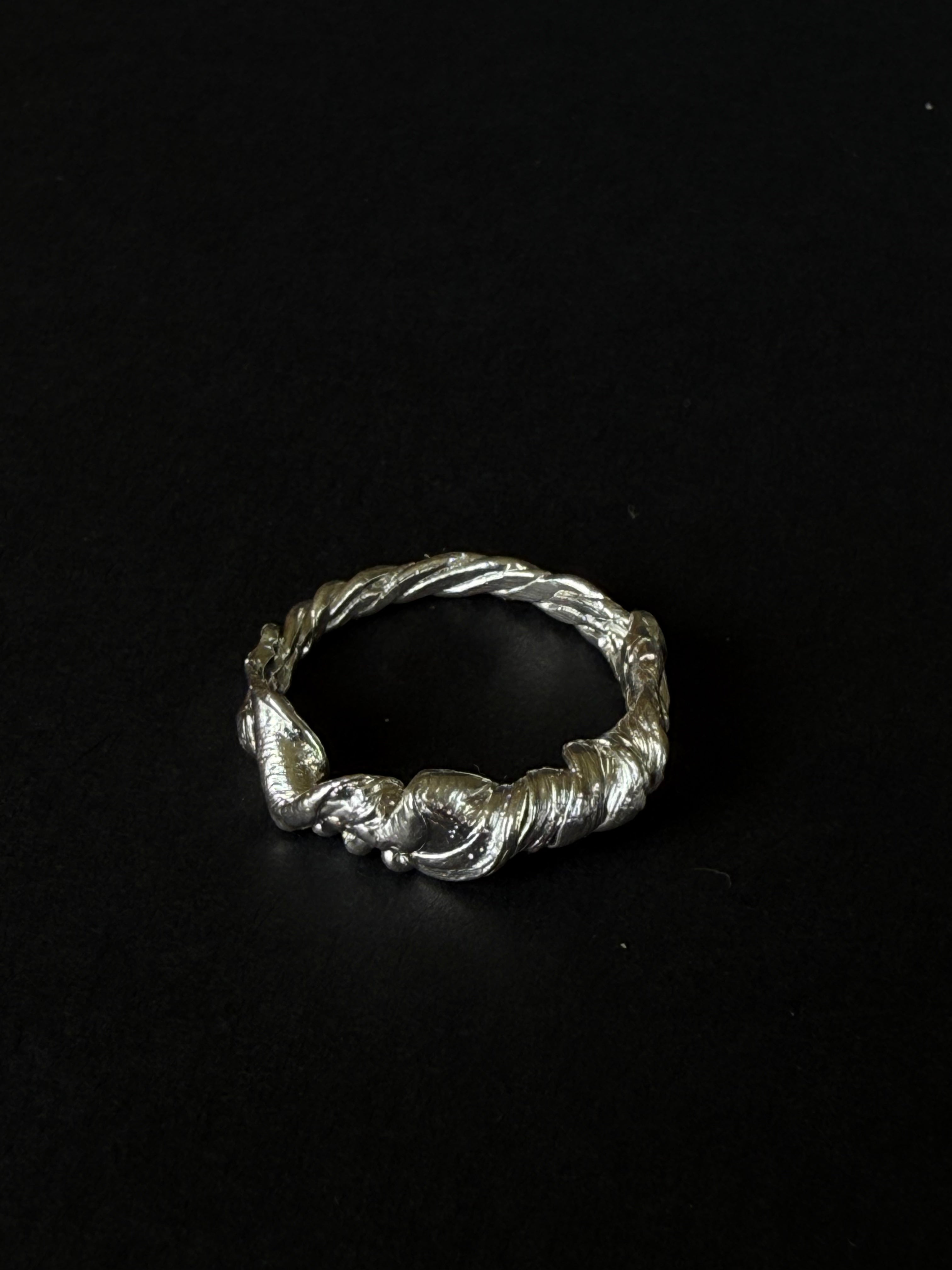 ANILLO EXPERIMENTAL IV