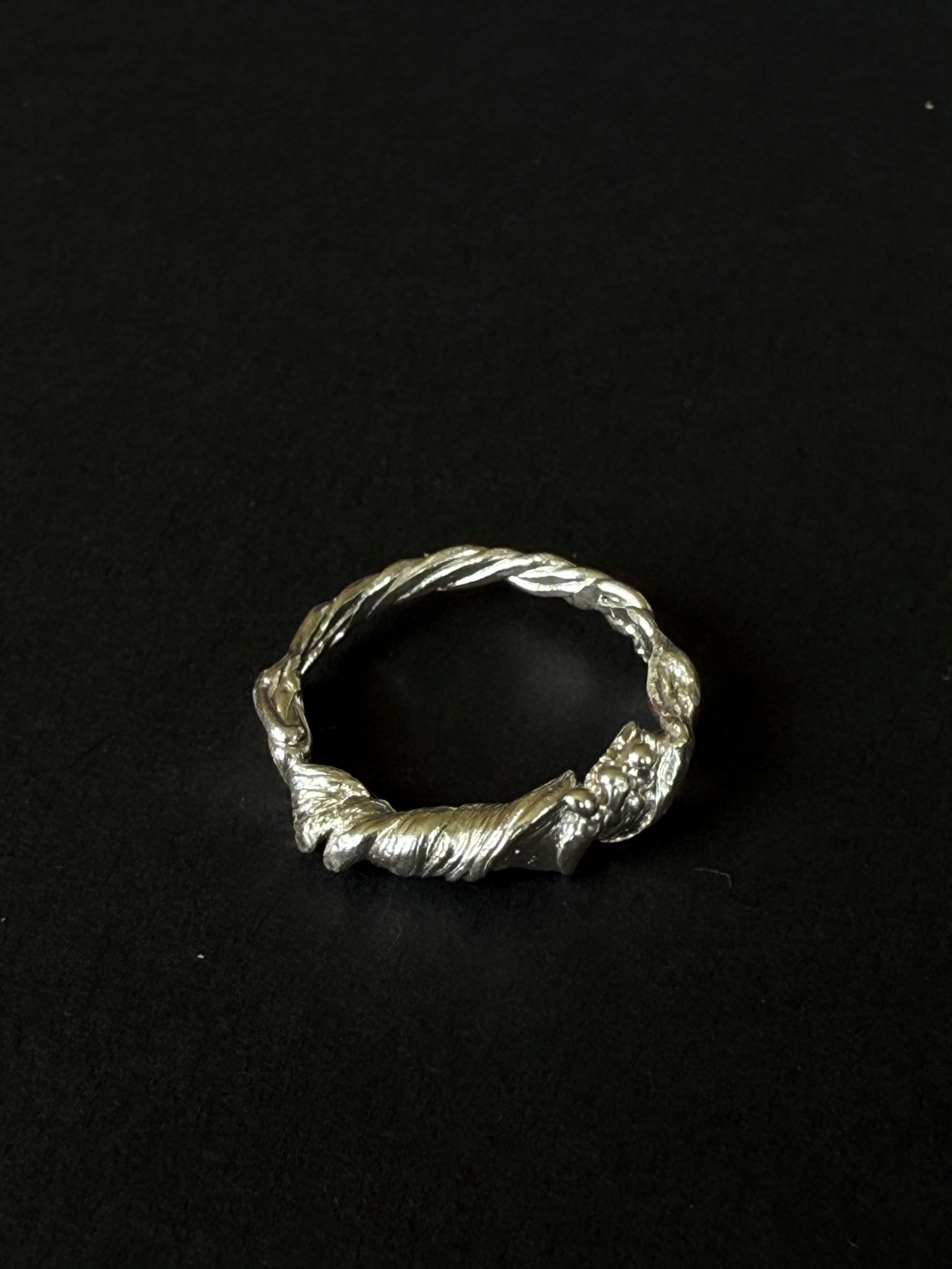 ANILLO EXPERIMENTAL IV