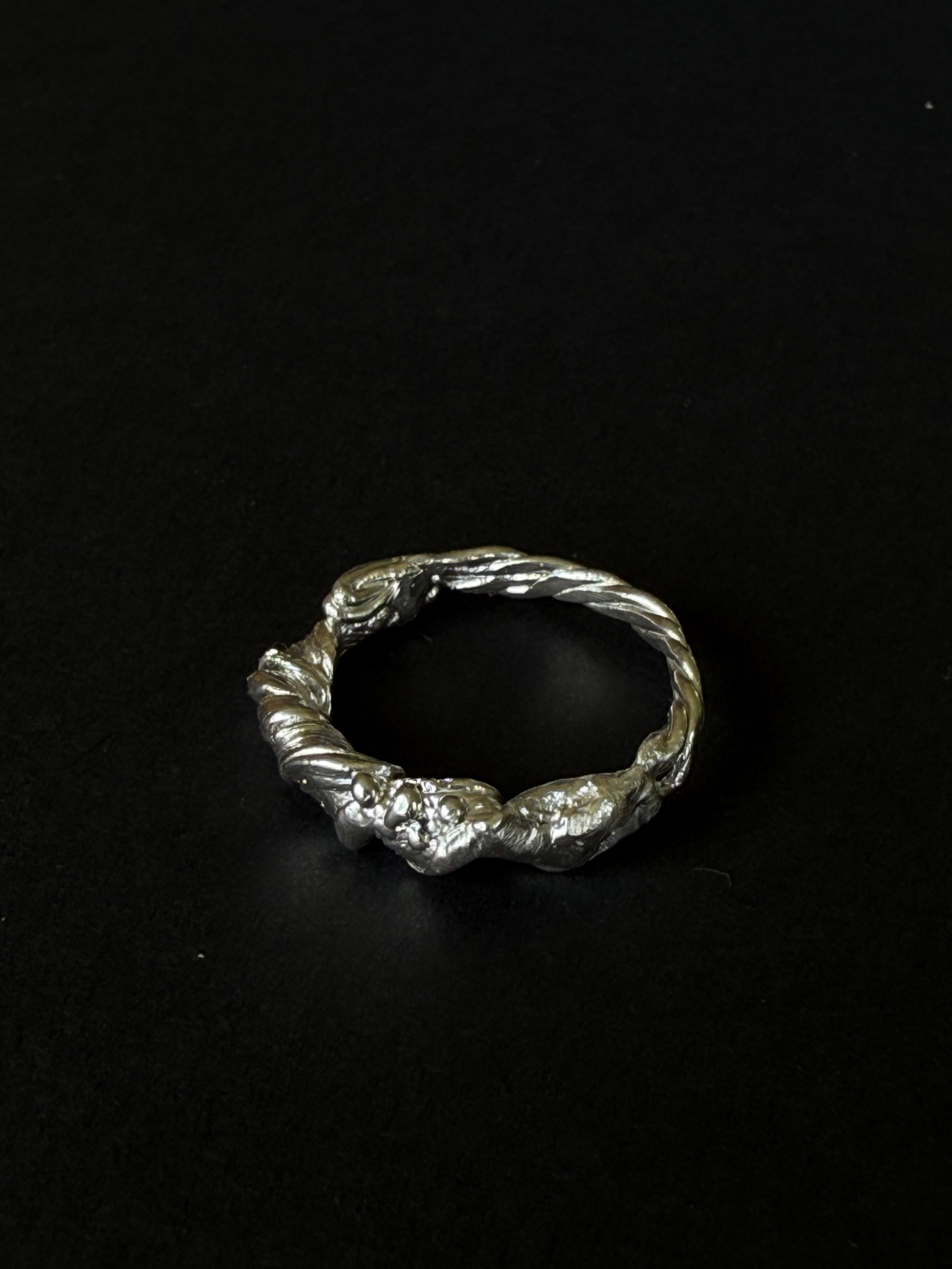 ANILLO EXPERIMENTAL IV