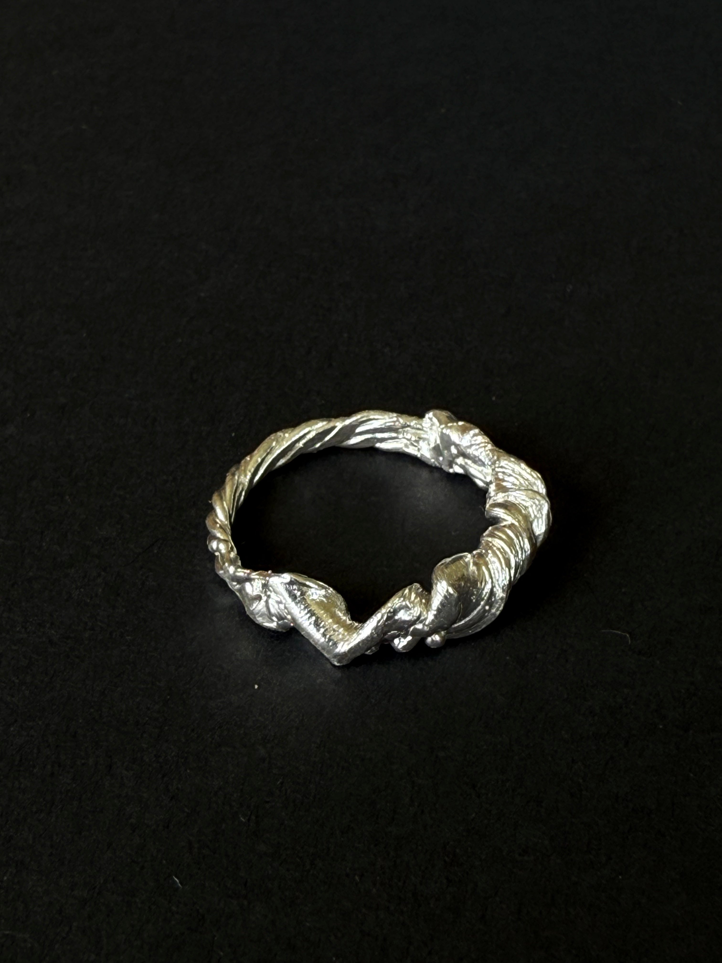 ANILLO EXPERIMENTAL IV