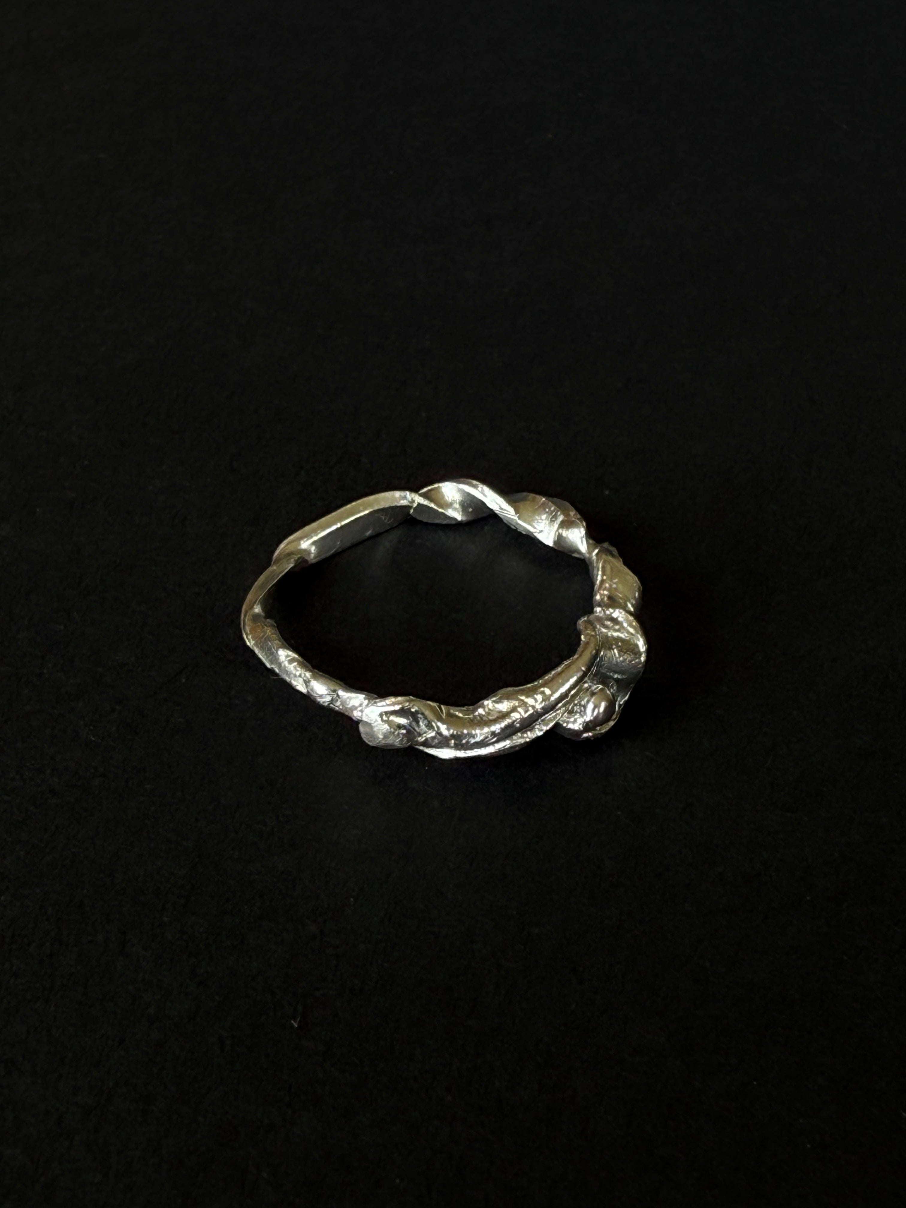 ANILLO EXPERIMENTAL V
