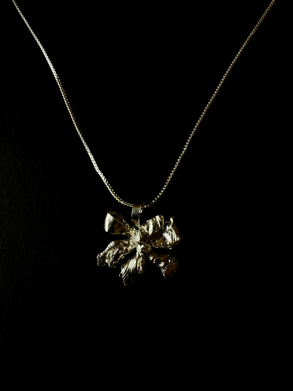 COLGANTE N01