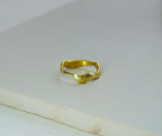 ANILLO FLUID